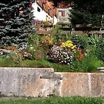 Le De L'amitie Nyaraló *